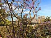 11/16 Mac Kenzie Street, Lavender Bay Apartment for rent...