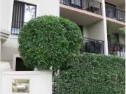 11/240 270 Lawrence St, ALEXANDRIA Apartment for rent...