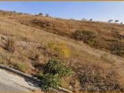 1/12 DE UMA PROPRIEDADE RURAL, LOCALIZADA NO DISTRITO DE...