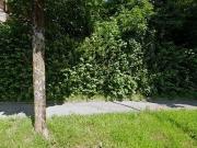 112 m2 apartment for rent in Bern Mittelland