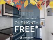 1150/1200 Kingston Road