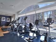 1150 Rue Sherbrooke Est 1 Bedroom Apartment for Rent at...