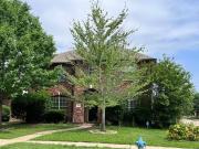 11536 Clover Knoll Dr, Frisco, TX 75035