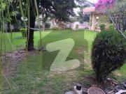 1166 SQYD Good Livable House Is For Sale F 7