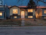 116 Falsby Road Ne, Calgary, AB, T3J 1B8 house for sale...