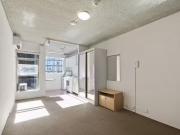 117/13 Waine Street, Surry Hills, NSW 2010