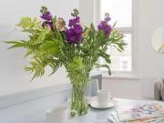 119 Warwick Road, London, SW5 9TJ, United Kingdom |...