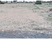11.7OO M2 TERRENOS PARA EDIFICAR TU CHALET PERLETA/ ELCHE