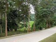 11,866 sqm Clean Title Lot for Sale in Sandoval, Roxas,...