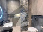 11 Bed Brand New Luxurious House On Extremely Prime... 11 Bed Brand New Luxurious House On Extremely Prime...