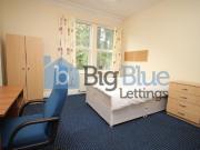 11 bedroom detached house to rent