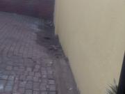 11 Bedroom House For Sale in Yeoville