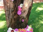 11 Bedroom House in Spitskop