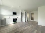 11 Cannon Road 1 Bedroom Apartment for Rent
