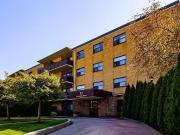 11 Eccleston Drive 11 Eccleston Drive