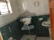 11 Marla Beautiful House Fully Renovated At Exceptional...
