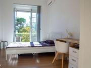 11 quarto, Lisbon Lisbon 1070 051 87987145