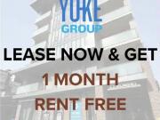 11 Robert St | 11 Robert Street, Hamilton
