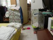 1200sf PEARL APT GOOD BUYheart of Taiping LAKE GARDENS