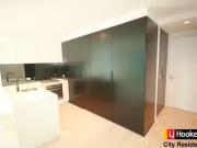 1202/442 450 Elizabeth Street, Melbourne, VIC 3004