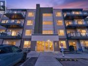 1207 33 Carringham Gate Nw, Calgary, AB, T3P 2H6 condo...