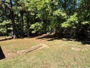 1208 chickamauga ave