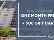 120 Dundas St E 1 Bedroom [object Promise] for Rent