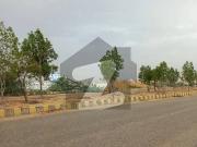 120 Sq. Yard. Sector 79 Taiser Town Phase1 Near By...