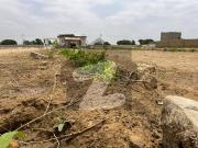 120 sq'yd plot for sale gulistan e ahmed residency...