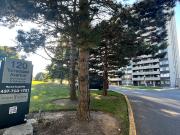 120 Torresdale Avenue 3 Bedroom Apartment for Rent at...