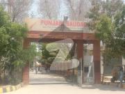 120 yards West open 40 Feet Road plot for sale in...