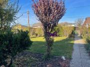 1210 Wien, Kleingartengrundstück mit Ferienhaus!