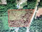 12111 Garibaldi Street, Maple Ridge, BC, V2W 1N2 vacant...