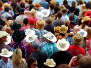 1215 1 Bedroom Apartment for Rent at 1215 5 Street SW,...