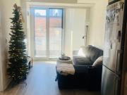 121 Lower Sherbourne Street #653