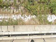 121 m2 apartment for rent in Arlesheim