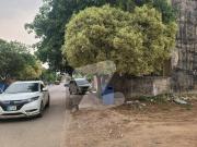 1239 Phase 3 Level Plot Near Mosque And Park