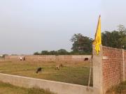 1247 Sq.Ft. Plot in Ormanjhi Ranchi Listing ID #8851