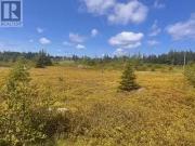 125 147 Main Road, Blackhead, NL, A0A 1L0 vacant land...