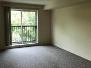 125 Bayfield Street, Barrie