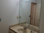 1261 Treefern DR