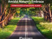 1265 Sq.Yd. Plot in Naugaon Alwar Listing ID #8624