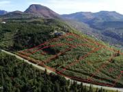 12660 GLEN ALPS RD, ANCHORAGE, AK 99516 Vacant Land For...