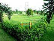1280 Sq.Ft. Plot in Katangi Jabalpur Listing ID #8709