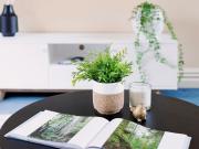 129 Newry Street, Carlton North, Melbourne