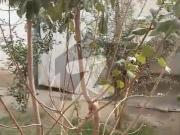 12.5 Marla House For Sale In Tajabad Board Peshawar Tajabad