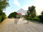 12 Kanal Farm House Available For Office Or Living