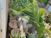 12 Marla 07 Badroom House Available For Sale In PAF...