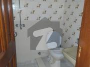 12 Marla Full House Available For Rent In Main Cantt
