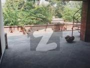 12 Marla Full House Available For Rent In Main Cantt